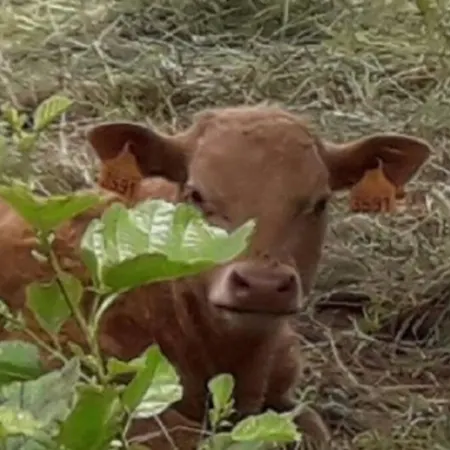 Дом отдыха De Mo Le Claux